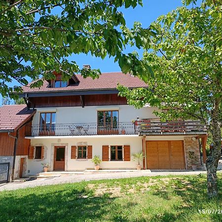 Gite Coeur De Haute-Savoie Viuz-en-Sallaz Kültér fotó