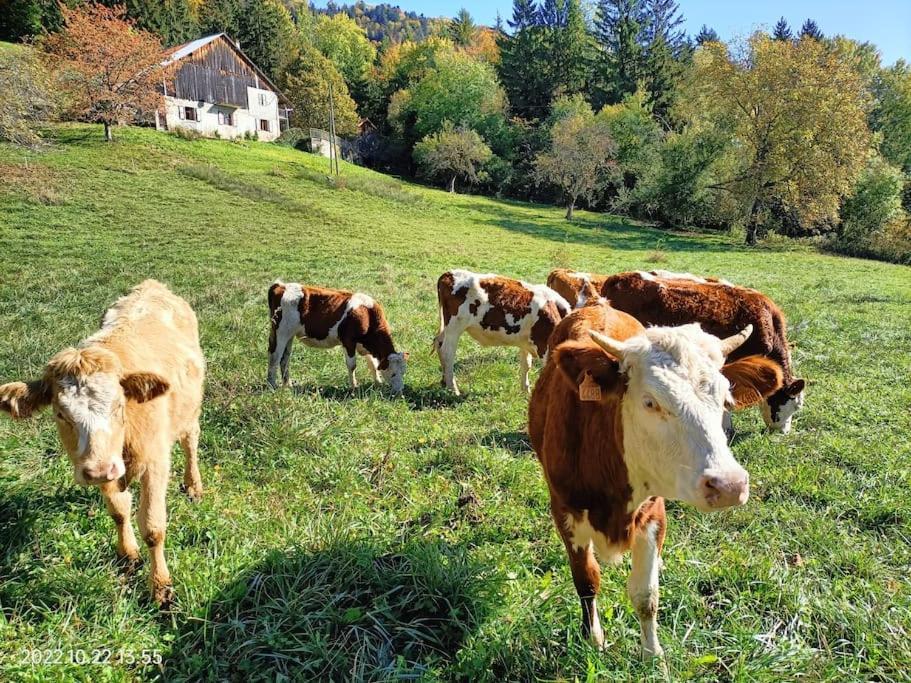 Gite Coeur De Haute-Savoie Viuz-en-Sallaz Kültér fotó