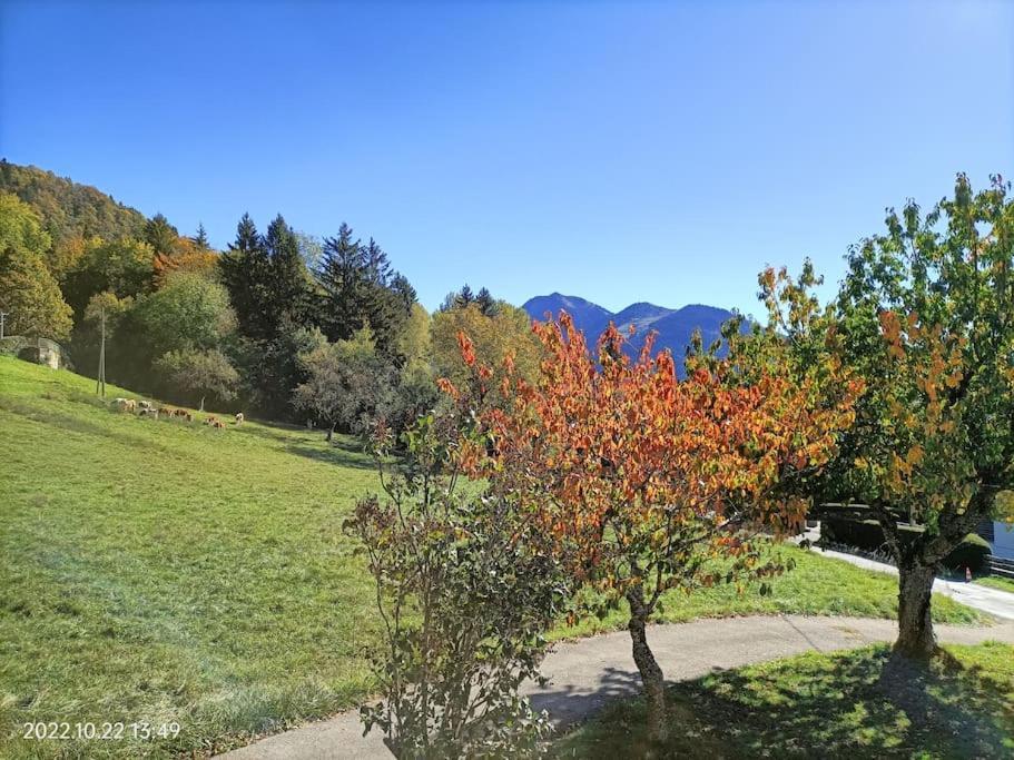 Gite Coeur De Haute-Savoie Viuz-en-Sallaz Kültér fotó