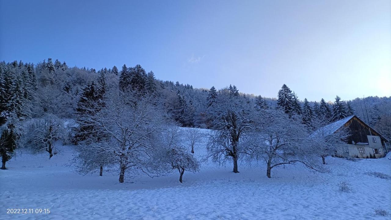 Gite Coeur De Haute-Savoie Viuz-en-Sallaz Kültér fotó